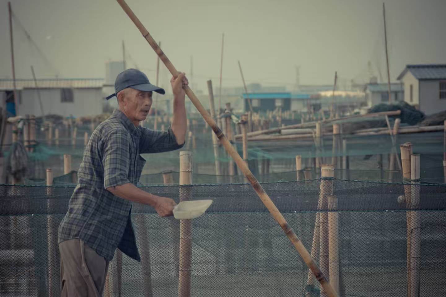 老蟹农拉网实景照片