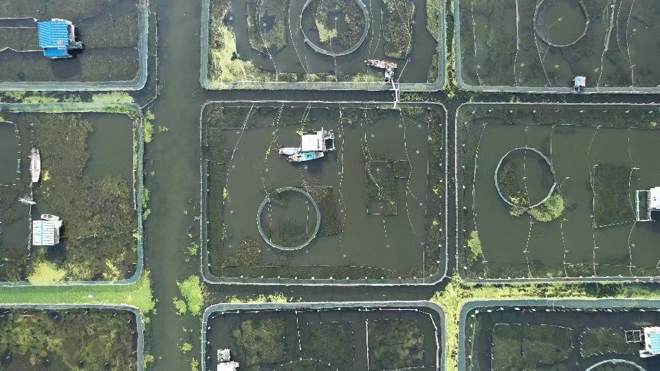 唯亭东湖网场航拍实景照片