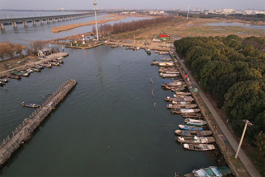 蟹君来大闸蟹实景展示3